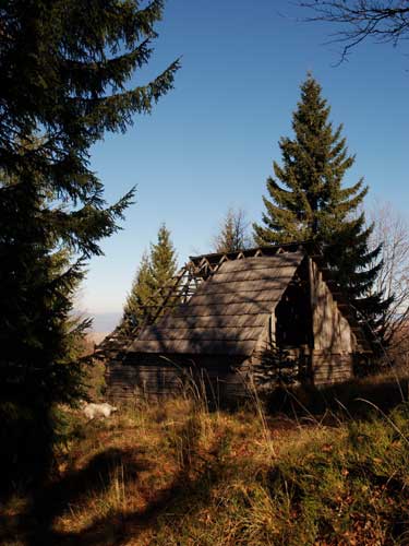 Foto A fost odata la nord de Prisaca (c) Petru Goja